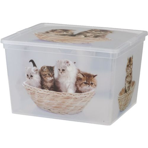 KIS Cbox kittens cube